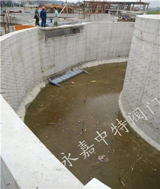  调节堰门应用现场 