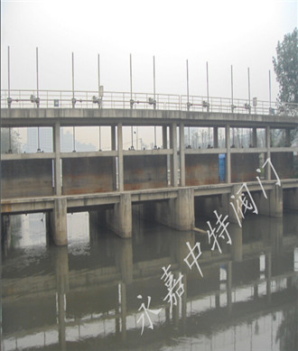  双吊点启闭机应用现场 