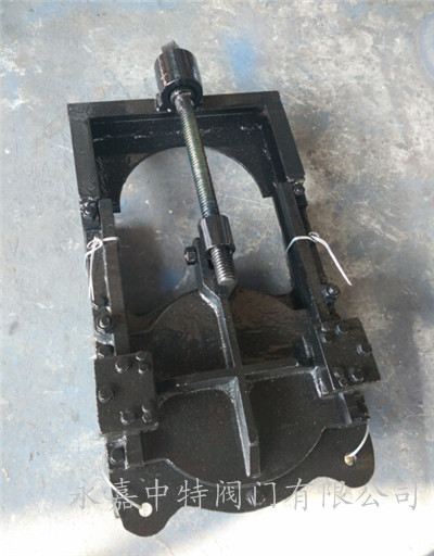 暗杆式铸铁镶铜闸门实物图片