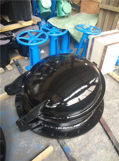 FPM浮箱式拍门实物图片