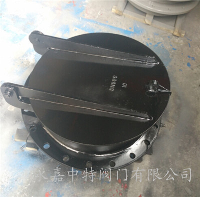 PM拍门实物图片