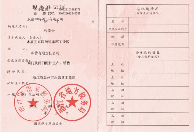 中特税务登记证