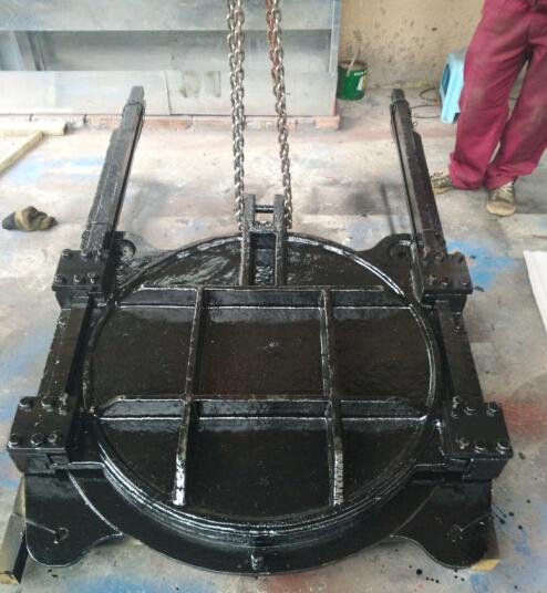  镍铬合金铸铁镶铜闸门