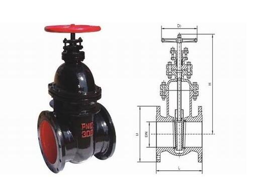 暗杆楔式单闸板闸阀