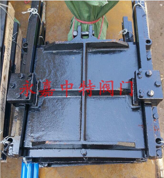 铸铁镶铜方闸门正面