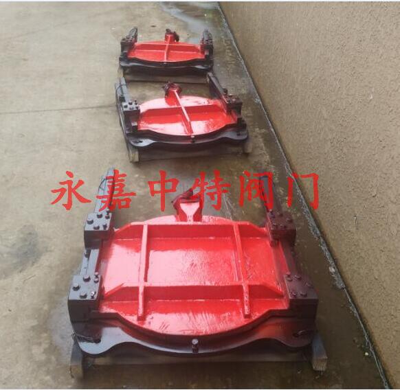 铸铁镶铜圆闸门正面