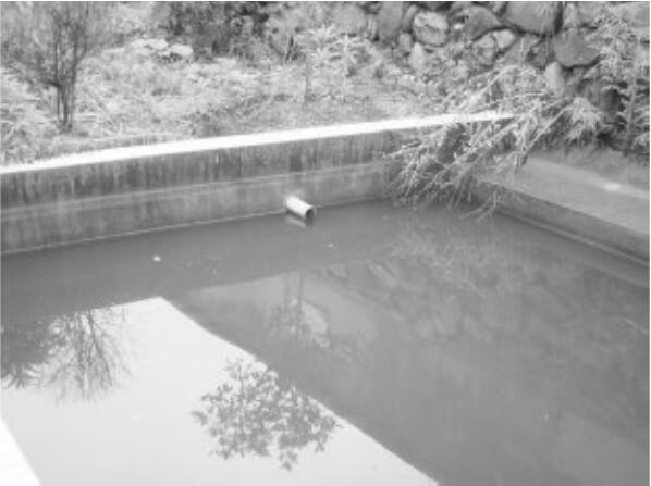 生活污水现场图