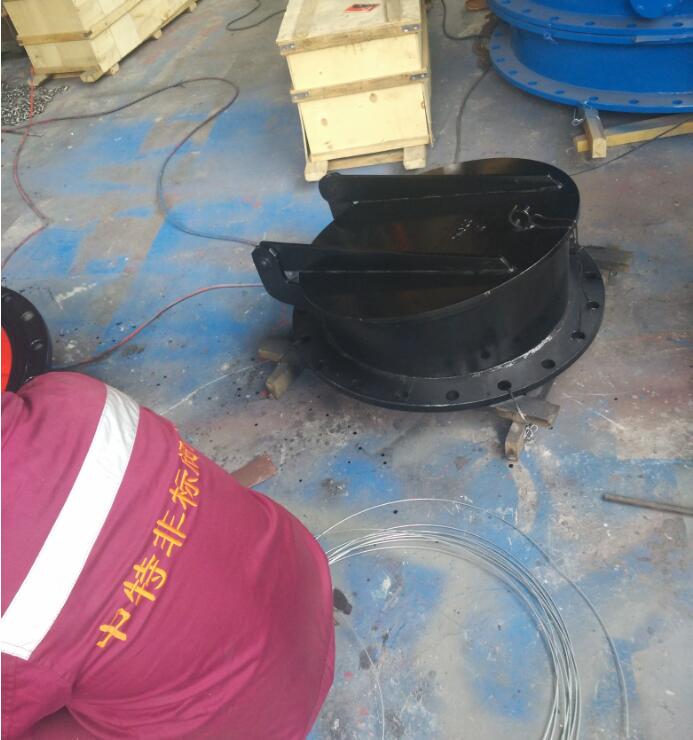 圆闸门拍门污水阀门