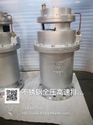  不锈钢全压高速排气阀实物图 