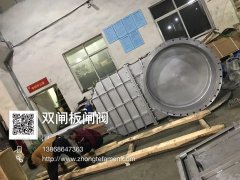  双闸板闸阀实物图片 
